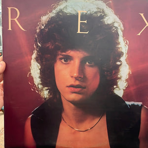 Rex Vinyl